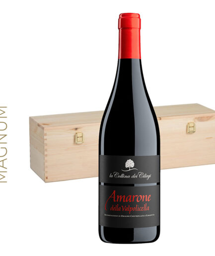 AMARONE LA COLLINA DEI CILIEGI MAGNUM