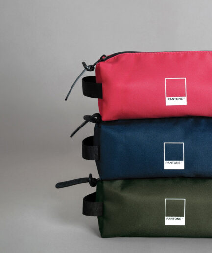 ASTUCCIO RIFLE PANTONE