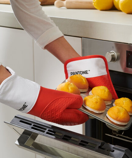 GUANTONE E PRESINA PANTONE