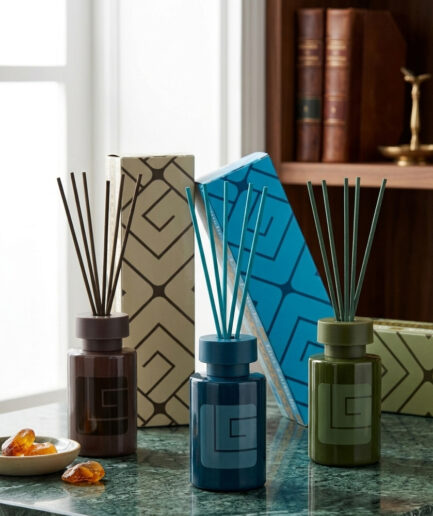 DIFFUSORI DI FRAGRANZA GUY LAROCHE